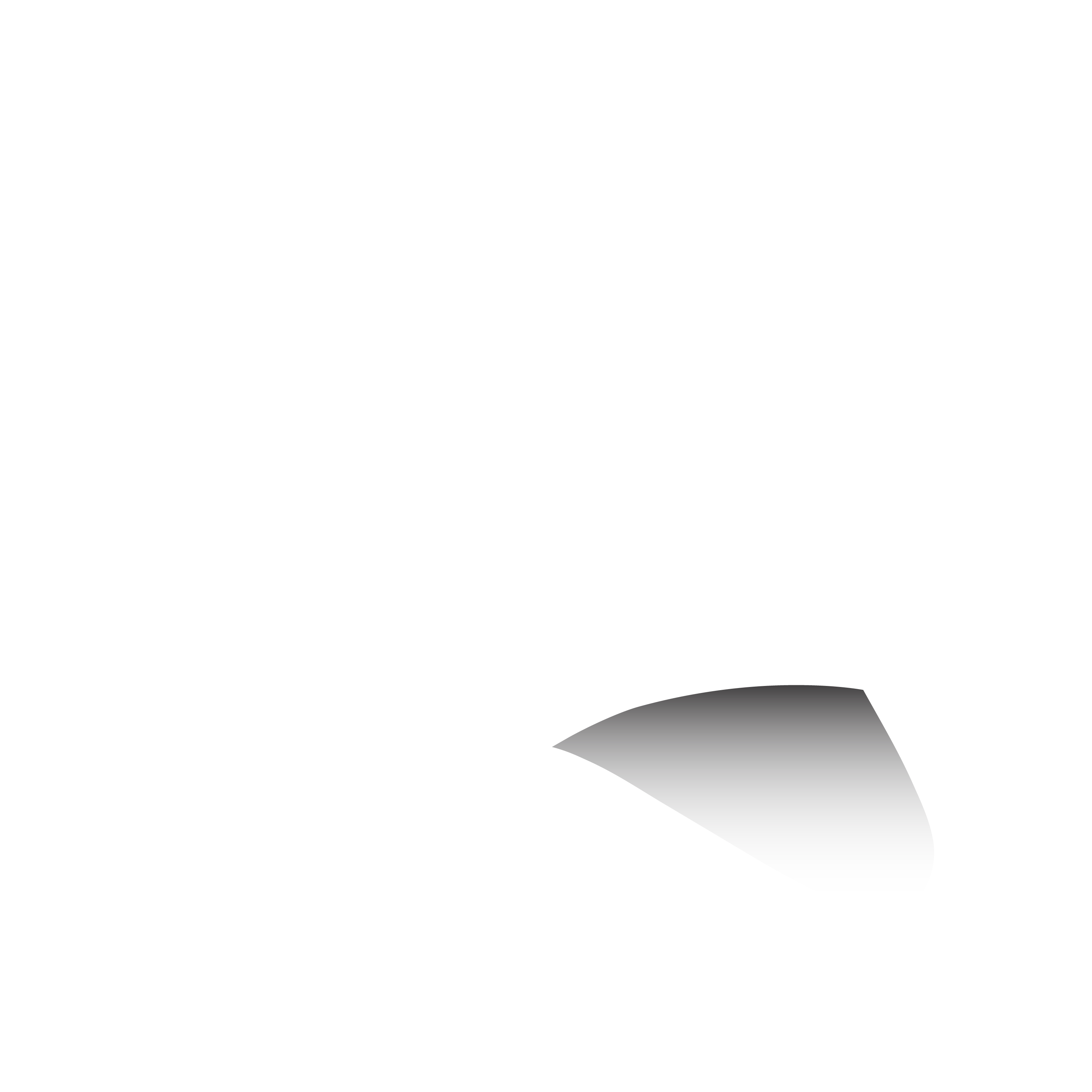 ZENIT Icon